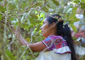 Rinde Agricultura homenaje a “Mujeres rurales” en la sede de la Ciudad de México