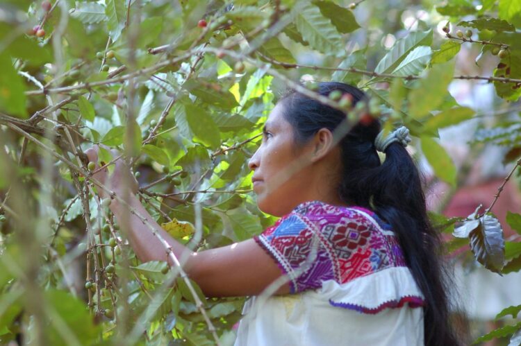 Rinde Agricultura homenaje a “Mujeres rurales” en la sede de la Ciudad de México
