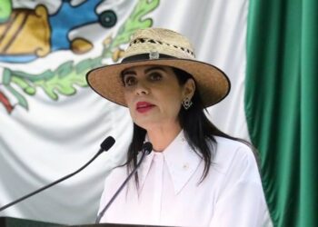 Pide Diputada de San Fernando precio de garantía para el sorgo