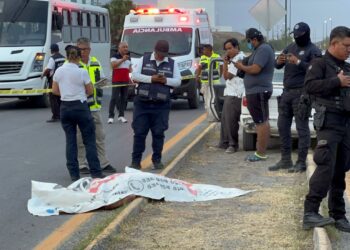 Auto atropella y mata a mujer