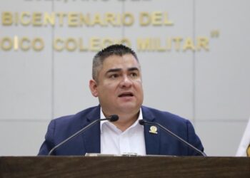 Plantean Ley para la Protección de Arboles en Tamaulipas