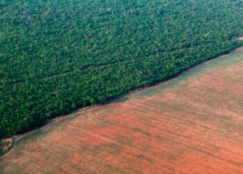 Cambio climático: Principal amenaza para la biodiversidad