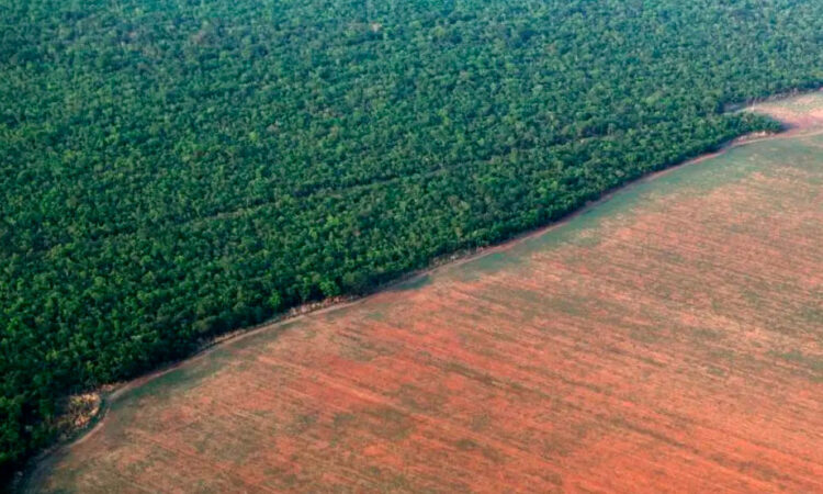 Cambio climático: Principal amenaza para la biodiversidad