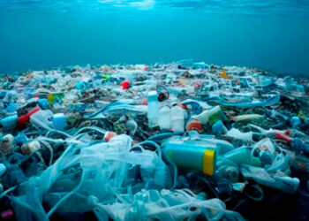Estudio revela entre 3 y 11 toneladas métricas de plástico en fondos marinos