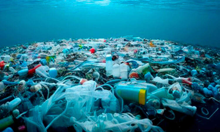 Estudio revela entre 3 y 11 toneladas métricas de plástico en fondos marinos