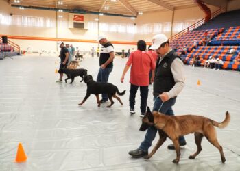 Inaugura rector de la UAT curso de adiestramiento canino K-9