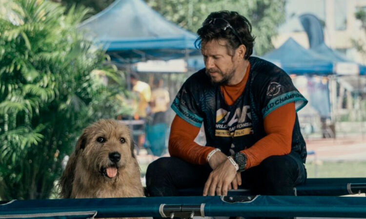 De la vida real a la pantalla grande: La increíble historia de Mikael Lindnord y Arthur