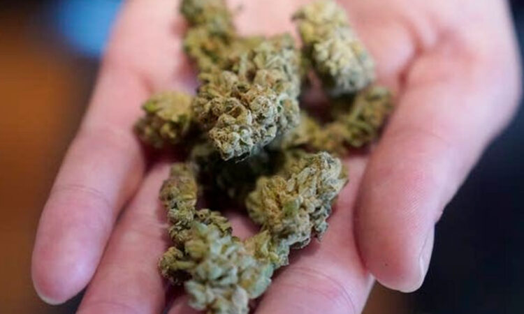 Marruecos avanza en la comercialización de productos derivados del cannabis legal