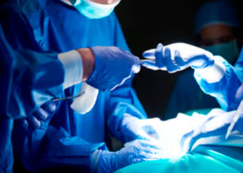 Éxito en el Segundo Trasplante de Riñón de Cerdo: Avance Médico en Nueva Jersey