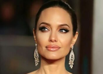 Angelina Jolie acusa a Brad Pitt de violencia económica en disputa por viñedo