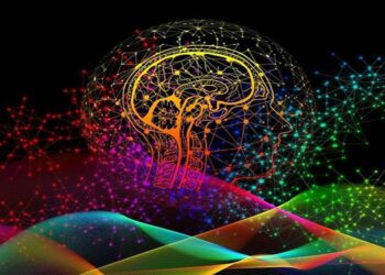 Colorado promulga la primera ley en Estados Unidos para proteger los datos del cerebro humano