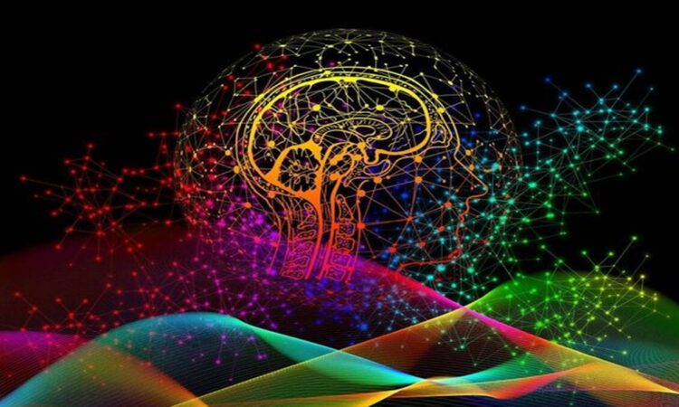 Colorado promulga la primera ley en Estados Unidos para proteger los datos del cerebro humano