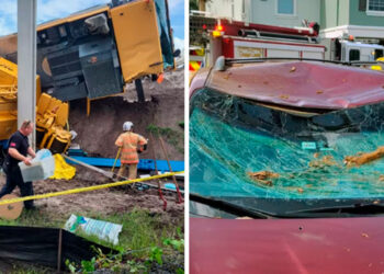Una persona muere y dos resultan heridas tras el desplome de una grúa en Florida