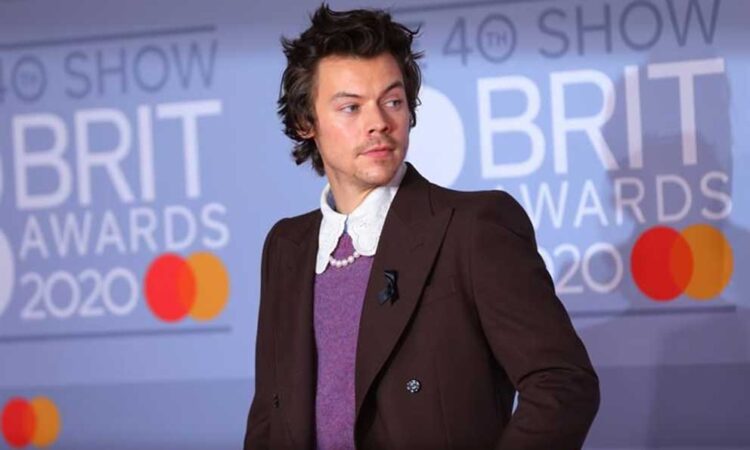 Acosadora de Harry Styles sentenciada a 14 semanas de cárcel