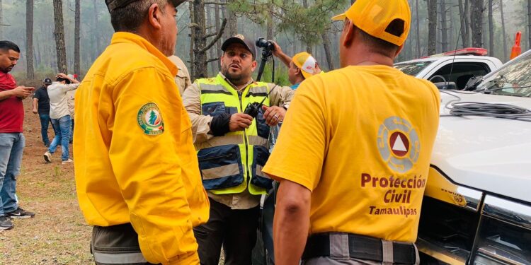 Consume incendio más de mil hectáreas en el Cañón del Novillo