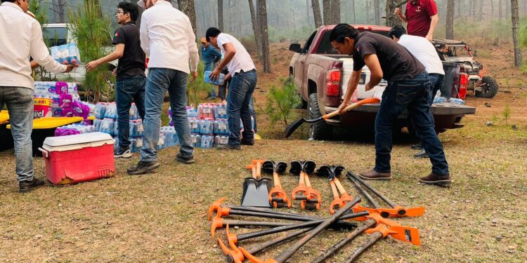 Consume incendio más de mil hectáreas en el Cañón del Novillo
