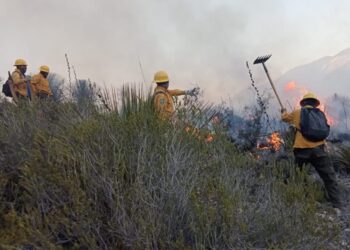 Refuerzan coordinación Estado y Federación para combatir incendio forestal en Victoria
