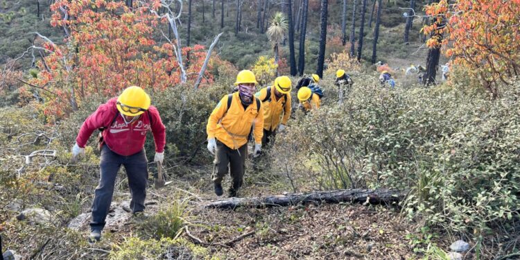 Refuerzan coordinación Estado y Federación para combatir incendio forestal en Victoria