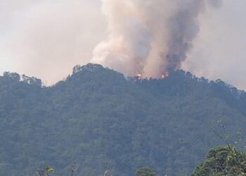 Pide Protección Civil helicóptero para controlar incendio forestal en Victoria