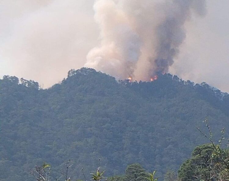 Pide Protección Civil helicóptero para controlar incendio forestal en Victoria