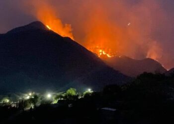 Gran incendio forestal azota en el Ejido Ávila y Urbina de Jaumave, Tamaulipas; claman helicóptero