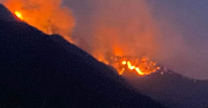 Gran incendio forestal azota en el Ejido Ávila y Urbina de Jaumave, Tamaulipas; claman helicóptero