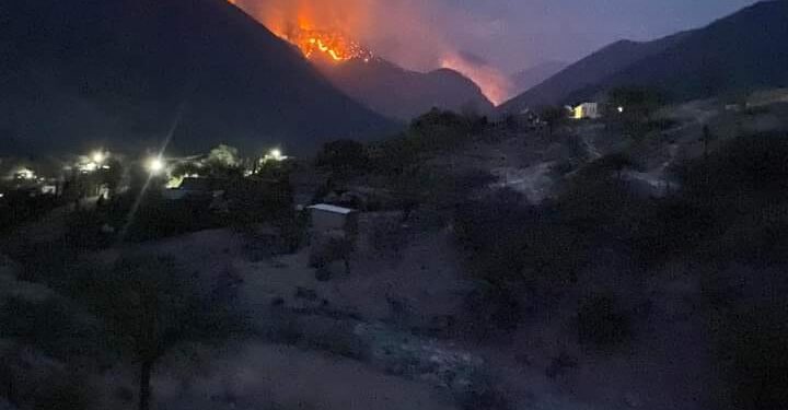 Gran incendio forestal azota en el Ejido Ávila y Urbina de Jaumave, Tamaulipas; claman helicóptero