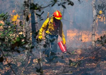 Se extiende el infierno de incendios forestales a 24 estados y 36 áreas naturales protegidas
