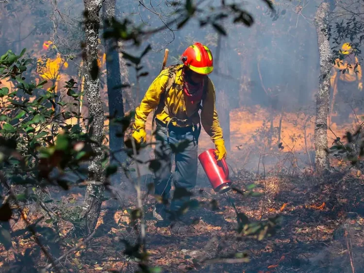 Se extiende el infierno de incendios forestales a 24 estados y 36 áreas naturales protegidas