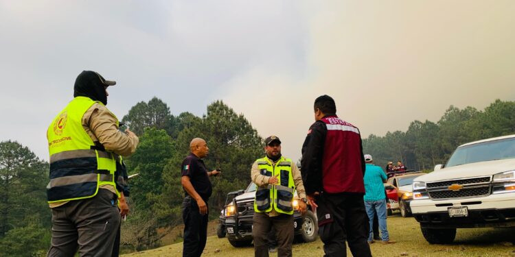 Combate Grupo Técnico Operativo incendio en Cañón del Novillo de Victoria