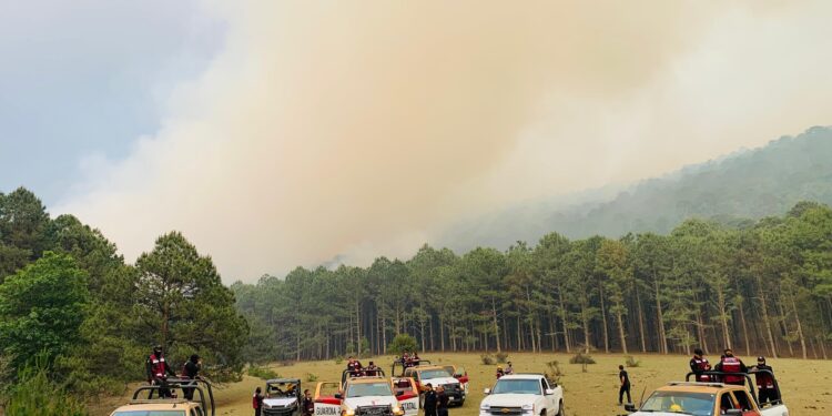Combate Grupo Técnico Operativo incendio en Cañón del Novillo de Victoria