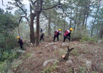 Combaten 263 personas el incendio forestal en el Cañón del Novillo