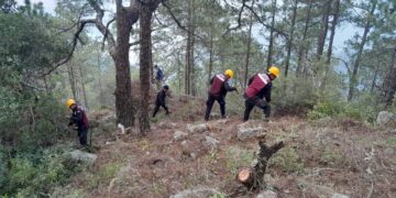 Combaten 263 personas el incendio forestal en el Cañón del Novillo