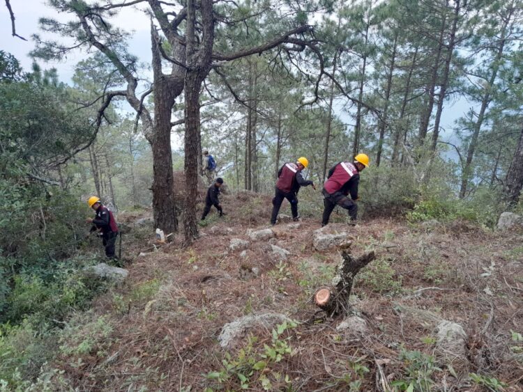 Combaten 263 personas el incendio forestal en el Cañón del Novillo