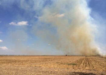 Refuerzan acciones contra incendios forestales y erosión por quemas agropecuarias
