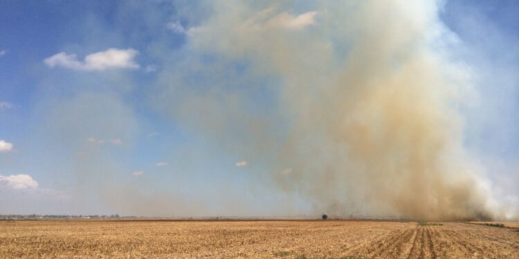 Refuerzan acciones contra incendios forestales y erosión por quemas agropecuarias