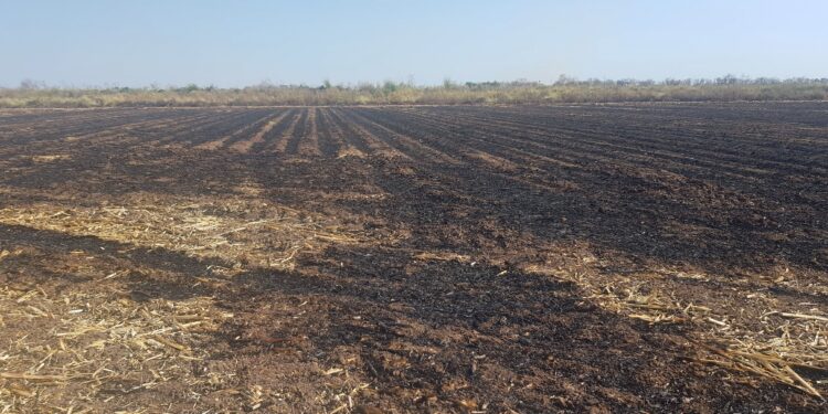 Refuerzan acciones contra incendios forestales y erosión por quemas agropecuarias
