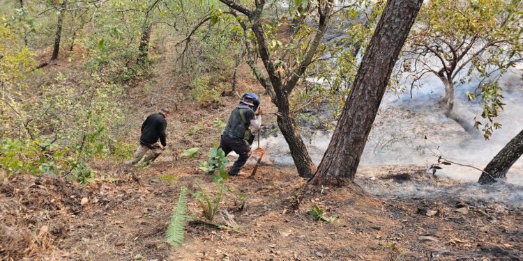 Colabora PC de Victoria en combate de incendio forestal en Cañón del Novillo