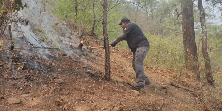 Colabora PC de Victoria en combate de incendio forestal en Cañón del Novillo