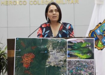 Piden urgente apoyo federal para el combate de incendios forestales en Tamaulipas