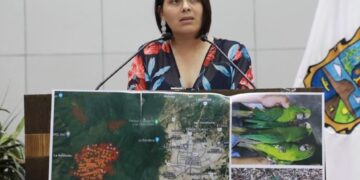 Piden urgente apoyo federal para el combate de incendios forestales en Tamaulipas