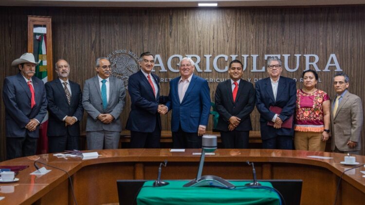 En breve, dará SADER respuesta positiva a productores de sorgo de Tamaulipas: Villalobos