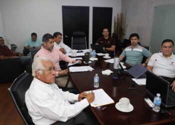 Reporta Tamaulipas 101 casos de dengue; 95 en los municipios del sur