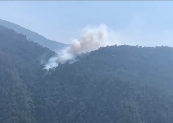 Incendio forestal en “Cañón del Novillo” de Victoria en 55% de control y 45% de liquidación