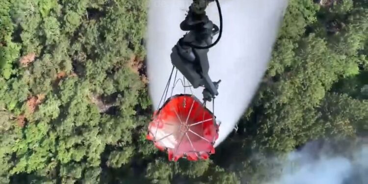 Incendio forestal en “Cañón del Novillo” de Victoria en 55% de control y 45% de liquidación