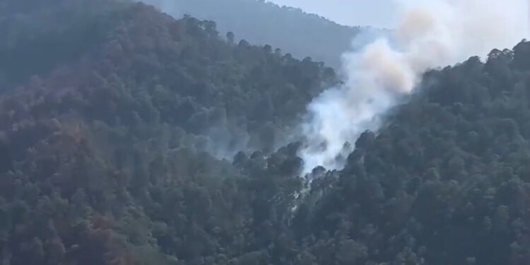 Incendio forestal en “Cañón del Novillo” de Victoria en 55% de control y 45% de liquidación