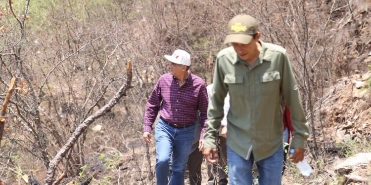 Recorre Américo Villarreal zona del incendio forestal en “Cañón del Novillo” 