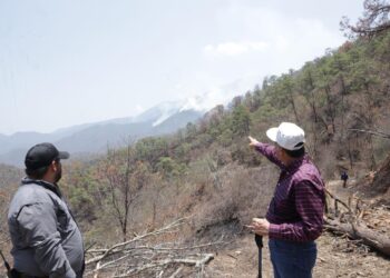 Recorre Américo Villarreal zona del incendio forestal en “Cañón del Novillo” 