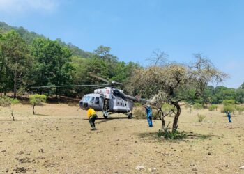 Avanza a 80% el control de incendio forestal en Cañón del Novillo de Victoria