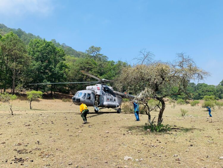 Avanza a 80% el control de incendio forestal en Cañón del Novillo de Victoria